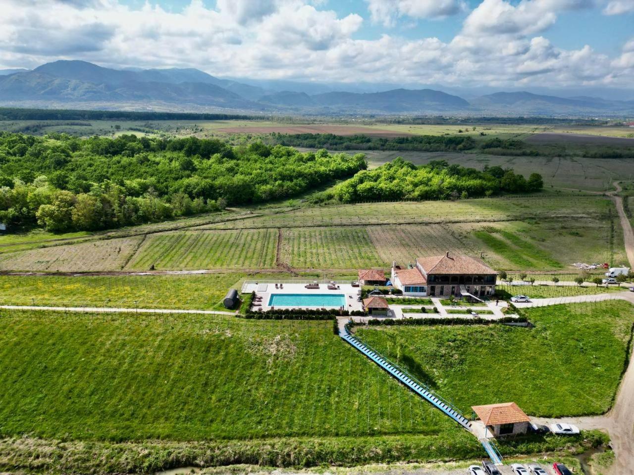 Chateau Vartsikhe Eksteriør billede