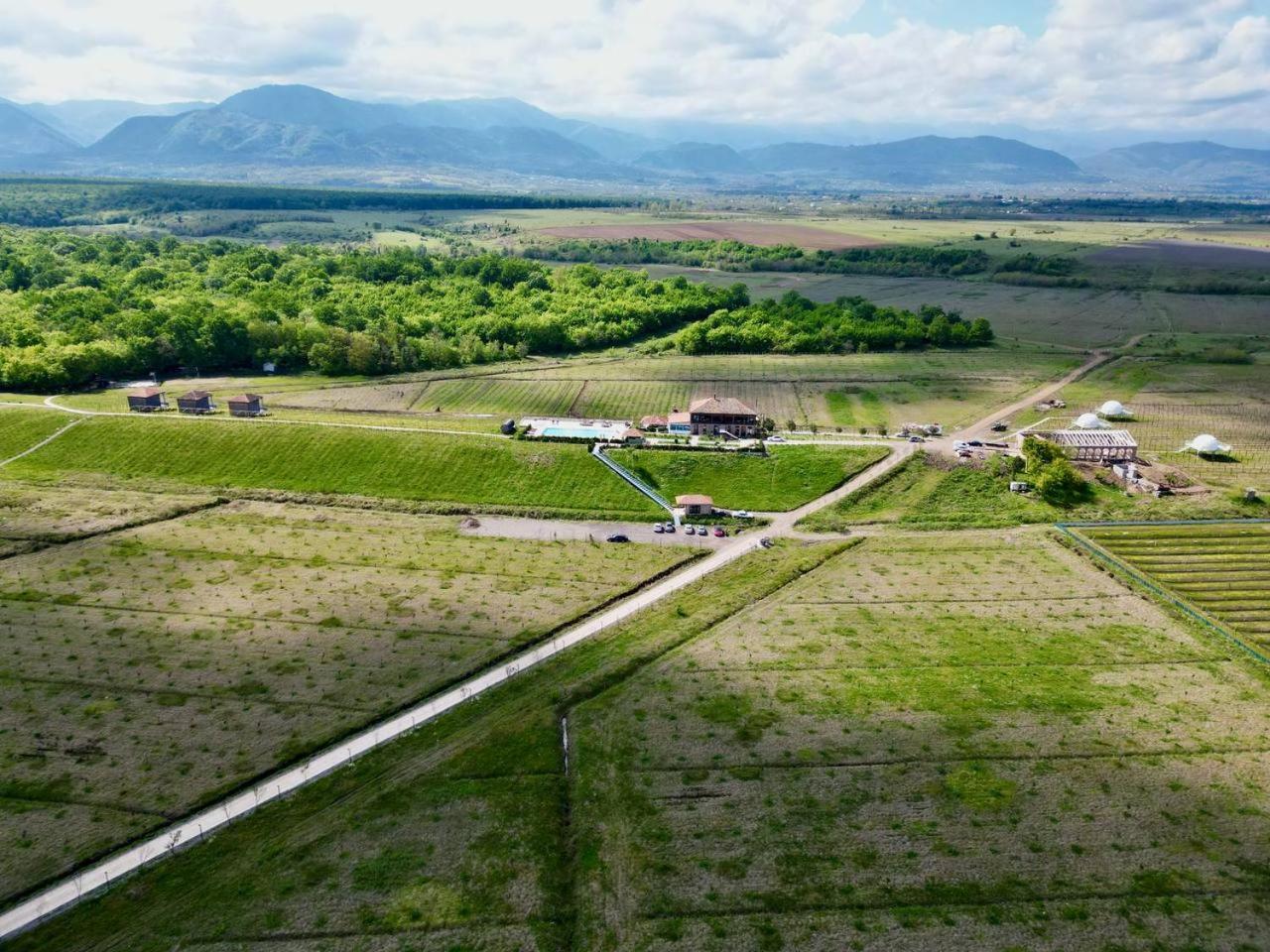 Chateau Vartsikhe Eksteriør billede